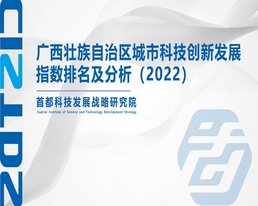 女人逼叫鸡吧操了视频【成果发布】广西壮族自治区城市科技创新发展指数排名及分析（2022）